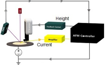 C-AFM for Current Distribution Mapping of Carbon Nanotube-Embedded Polymer