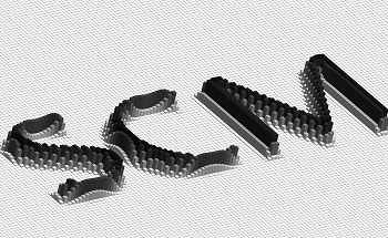 SSRM and SCM for Carrier Profiling in a High Vacuum