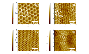 Superlattice Electromechanical Characterization with Piezo-Response Force Microscopy