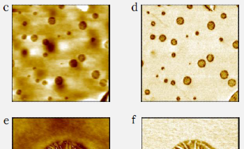 Characterizing Polyethylene with DriveAFM