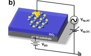 Utilizing Back-Gate Voltage Biases for 2D Materials
