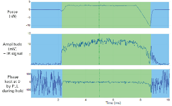 REFV AFM-IR: Precision in Nanoscale Chemical and Mechanical Analysis