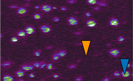 Ultimate Guide to Nanoscale Polymer Analysis with Photothermal AFM-IR