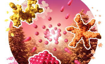 Researchers Integrate Several Dendrimer Structures to Create a Supramolecular Capsule