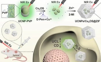 Engineering Stable Chiral Nanocomposites for In Vivo Diagnosis