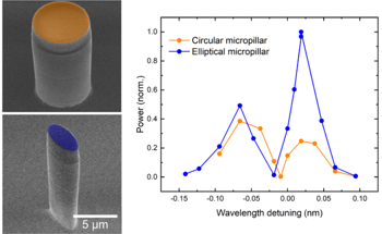 Harvesting Coherent Hypersound With Elliptical Micropillars