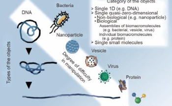 A Multidisciplinary Approach to Nanofluidics