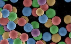 Semplor and Digital Surf Announce the Launch of Semplor Explore Apps for Advanced Material Characterization on NANOS Tabletop SEMs