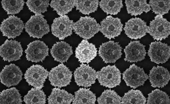 Nanostars Amplify SERS Signal and Boost Sensing