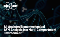 AI-Driven Nanomechanical AFM Analysis in Multi-Compartment Systems