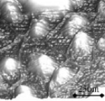 Possible AFM Modes and Their Nanomedicine Applications